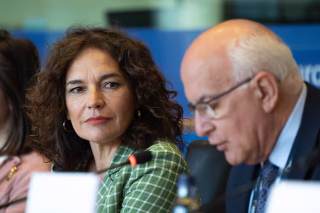 Φωτογραφία 8: FEMM Committee - Istanbul Convention - presentation by GREVIO (Group of Experts on Action against Violence against Women and Domestic Violence)