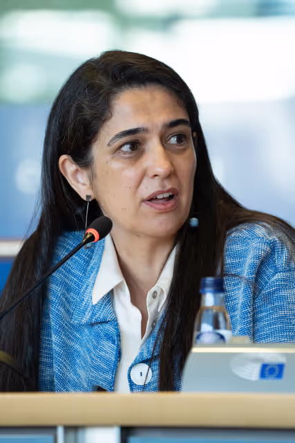 Φωτογραφία 7: FEMM Committee - Istanbul Convention - presentation by GREVIO (Group of Experts on Action against Violence against Women and Domestic Violence)