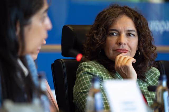 Φωτογραφία 6: FEMM Committee - Istanbul Convention - presentation by GREVIO (Group of Experts on Action against Violence against Women and Domestic Violence)