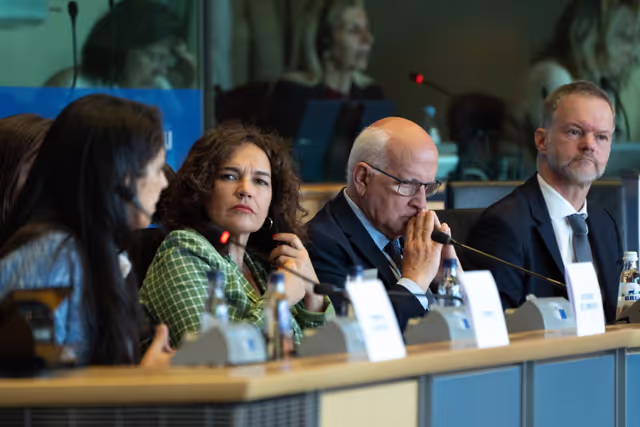 Φωτογραφία 5: FEMM Committee - Istanbul Convention - presentation by GREVIO (Group of Experts on Action against Violence against Women and Domestic Violence)