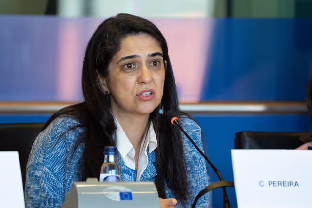 Φωτογραφία 4: FEMM Committee - Istanbul Convention - presentation by GREVIO (Group of Experts on Action against Violence against Women and Domestic Violence)