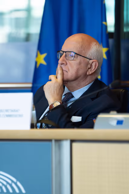 Φωτογραφία 3: FEMM Committee - Istanbul Convention - presentation by GREVIO (Group of Experts on Action against Violence against Women and Domestic Violence)