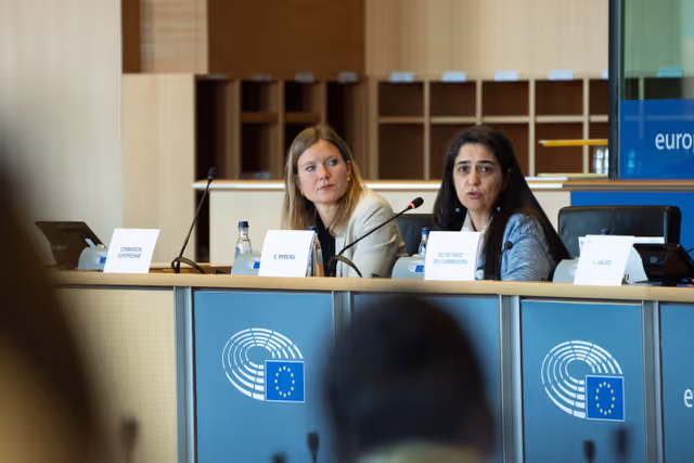 Φωτογραφία 2: FEMM Committee - Istanbul Convention - presentation by GREVIO (Group of Experts on Action against Violence against Women and Domestic Violence)