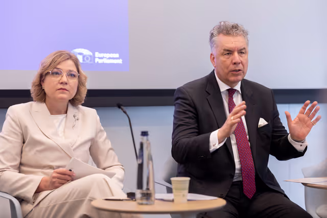 Nuotrauka 17: STOA - European Quantum Strategy and Quantum Act