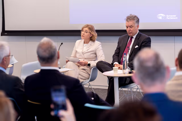 Nuotrauka 11: STOA - European Quantum Strategy and Quantum Act