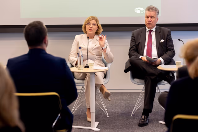 Nuotrauka 8: STOA - European Quantum Strategy and Quantum Act