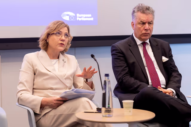 Nuotrauka 2: STOA - European Quantum Strategy and Quantum Act