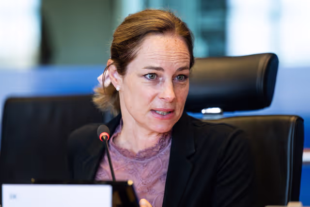 DEVE Interparliamentary Committee Meeting ' Global Gateway and the 4th Conference on Financing Development : Advancing Poverty Eradication and Energy Access in Developing Countries '