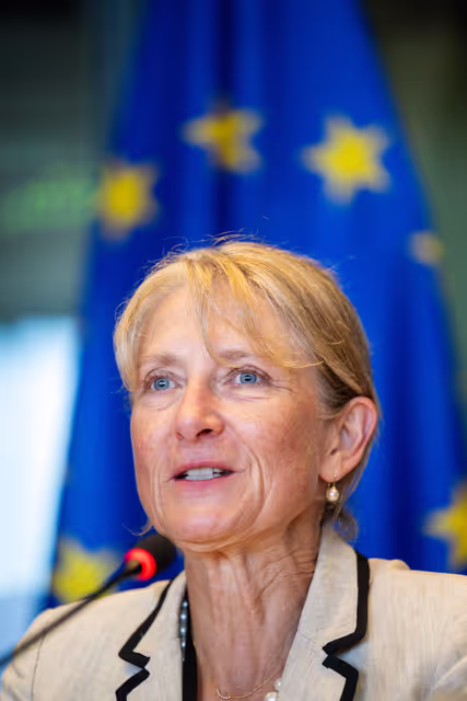 Billede 13: DEVE Interparliamentary Committee Meeting ' Global Gateway and the 4th Conference on Financing Development : Advancing Poverty Eradication and Energy Access in Developing Countries '