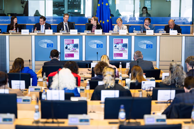 Billede 6: DEVE Interparliamentary Committee Meeting ' Global Gateway and the 4th Conference on Financing Development : Advancing Poverty Eradication and Energy Access in Developing Countries '