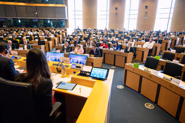 Billede 4: DEVE Interparliamentary Committee Meeting ' Global Gateway and the 4th Conference on Financing Development : Advancing Poverty Eradication and Energy Access in Developing Countries '