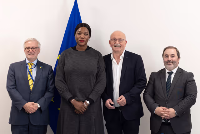 D-ZA Delegation meets with Anna Tandi Moraka, South African Deputy Minister for International Relations and Cooperation