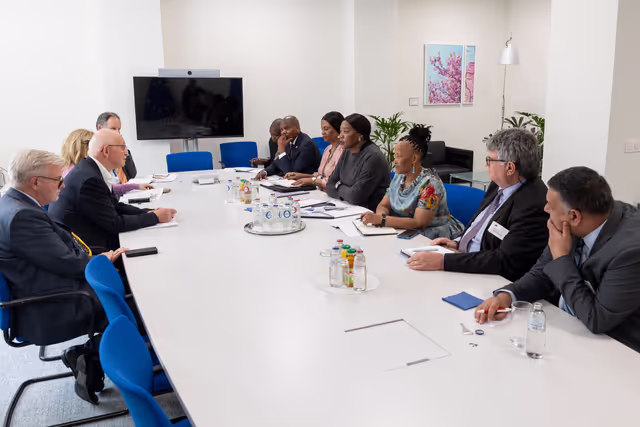 D-ZA Delegation meets with Anna Tandi Moraka, South African Deputy Minister for International Relations and Cooperation