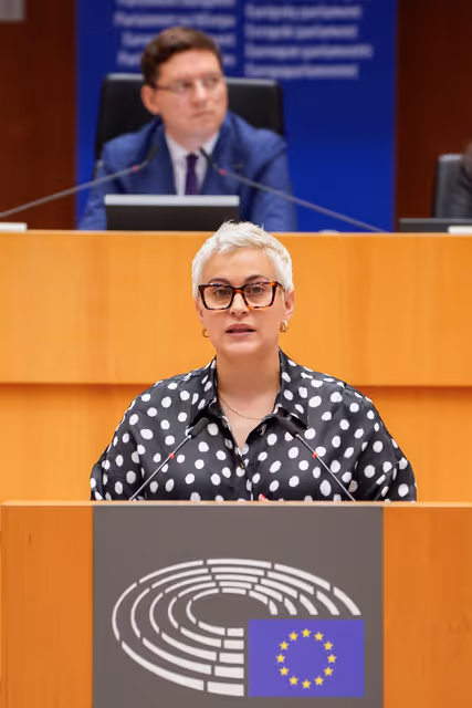 EP Mini-Plenary Session - Deliberations of the Committee on Petitions in 2023