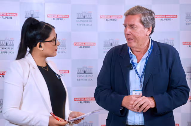 Zdjęcie 34: EUROLAT - Delegation to the Euro-Latin American Parliamentary Assembly - 16th ordinary plenary session in Lima, Peru