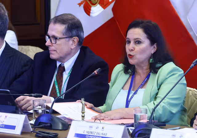 Zdjęcie 30: EUROLAT - Delegation to the Euro-Latin American Parliamentary Assembly - 16th ordinary plenary session in Lima, Peru