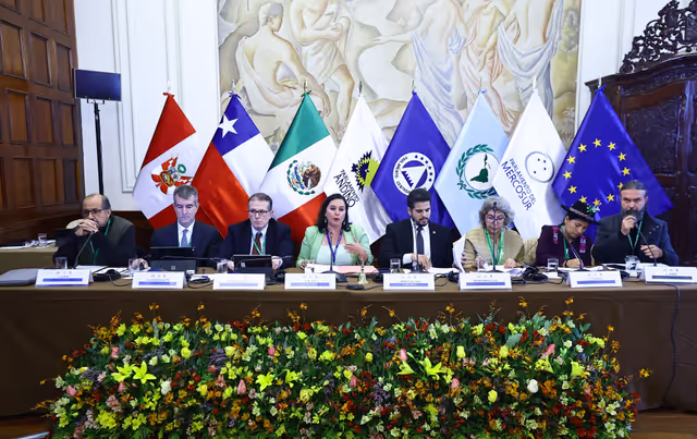 Zdjęcie 29: EUROLAT - Delegation to the Euro-Latin American Parliamentary Assembly - 16th ordinary plenary session in Lima, Peru