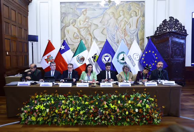 Zdjęcie 28: EUROLAT - Delegation to the Euro-Latin American Parliamentary Assembly - 16th ordinary plenary session in Lima, Peru