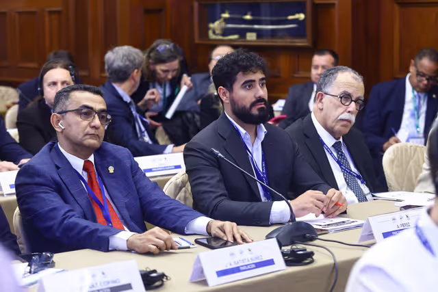 Zdjęcie 27: EUROLAT - Delegation to the Euro-Latin American Parliamentary Assembly - 16th ordinary plenary session in Lima, Peru