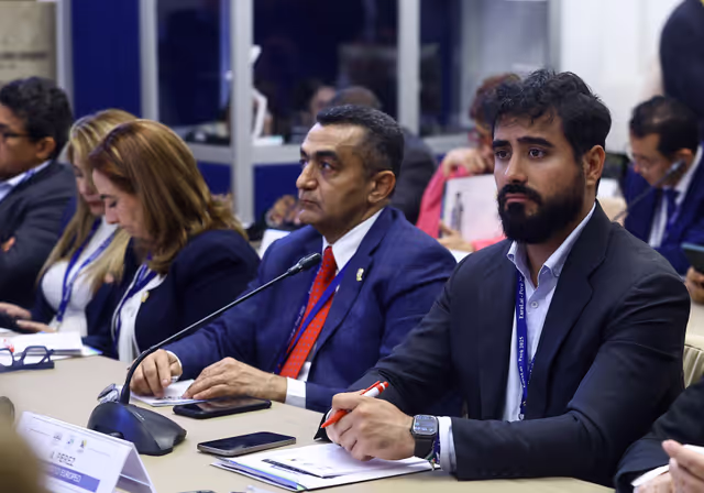 Zdjęcie 17: EUROLAT - Delegation to the Euro-Latin American Parliamentary Assembly - 16th ordinary plenary session in Lima, Peru