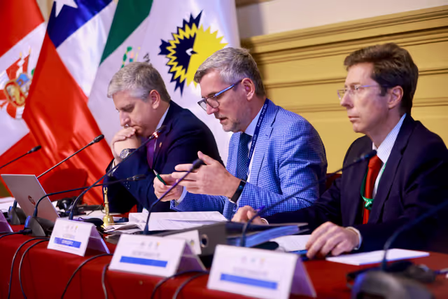 Zdjęcie 15: EUROLAT - Delegation to the Euro-Latin American Parliamentary Assembly - 16th ordinary plenary session in Lima, Peru