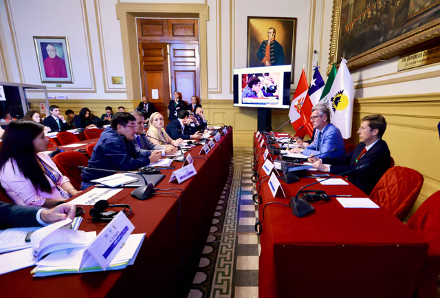 Zdjęcie 13: EUROLAT - Delegation to the Euro-Latin American Parliamentary Assembly - 16th ordinary plenary session in Lima, Peru