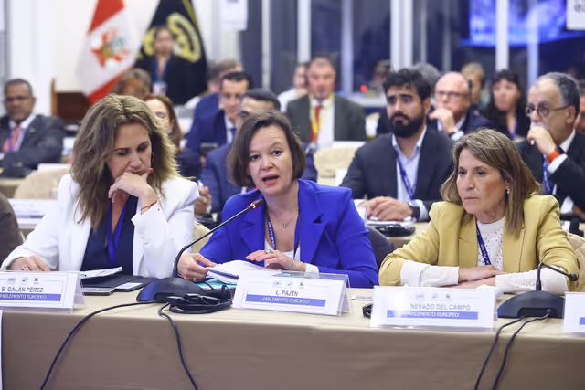 Zdjęcie 11: EUROLAT - Delegation to the Euro-Latin American Parliamentary Assembly - 16th ordinary plenary session in Lima, Peru