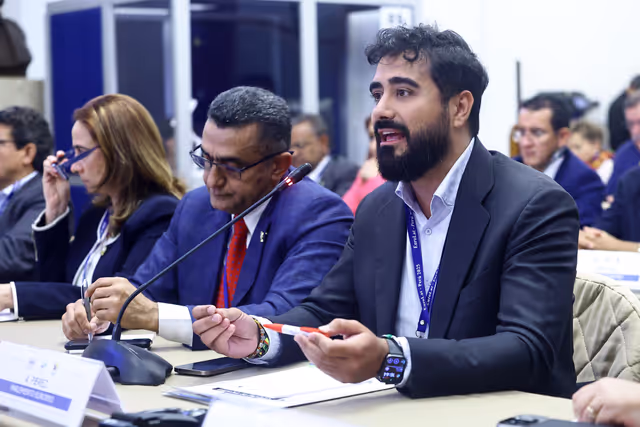 Zdjęcie 8: EUROLAT - Delegation to the Euro-Latin American Parliamentary Assembly - 16th ordinary plenary session in Lima, Peru