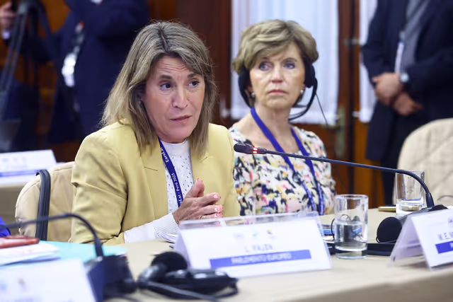 Zdjęcie 7: EUROLAT - Delegation to the Euro-Latin American Parliamentary Assembly - 16th ordinary plenary session in Lima, Peru