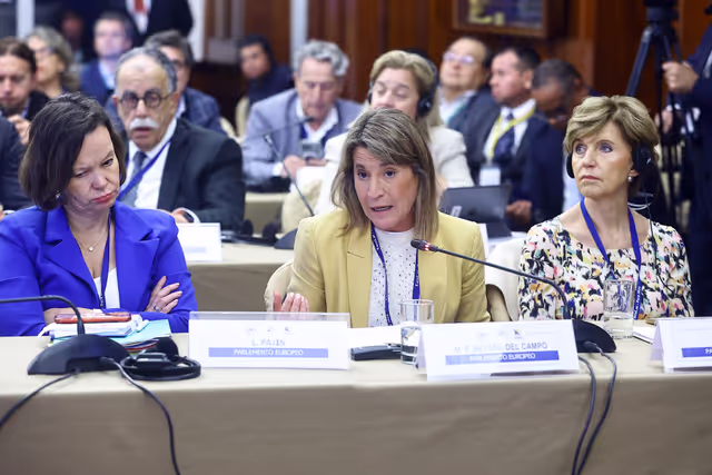 Zdjęcie 5: EUROLAT - Delegation to the Euro-Latin American Parliamentary Assembly - 16th ordinary plenary session in Lima, Peru