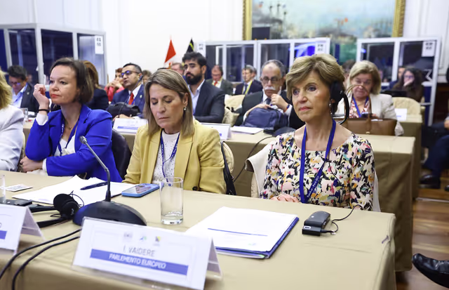 Zdjęcie 4: EUROLAT - Delegation to the Euro-Latin American Parliamentary Assembly - 16th ordinary plenary session in Lima, Peru