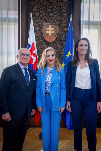 Zdjęcie 46: LIBE DRFMG rule of law mission to Bratislava, Slovakia