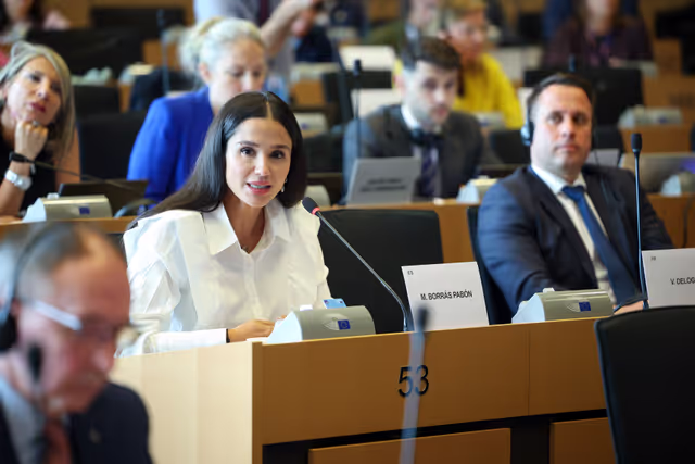 Снимка 2: AGRI Committee meeting - Election of the 4th Vice-Chair