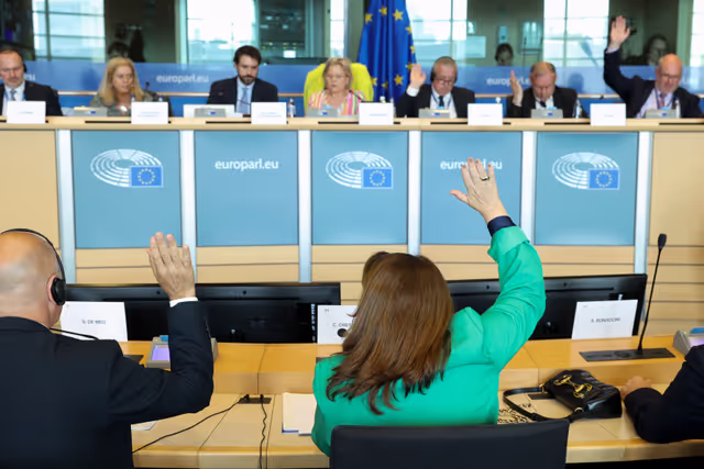 Foto 15: AGRI Committee meeting - Welfare of dogs and cats and their traceability