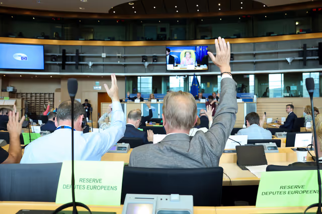 Foto 4: AGRI Committee meeting - Welfare of dogs and cats and their traceability