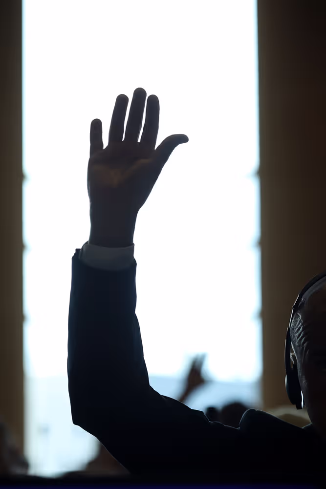 AGRI Committee meeting - Welfare of dogs and cats and their traceability