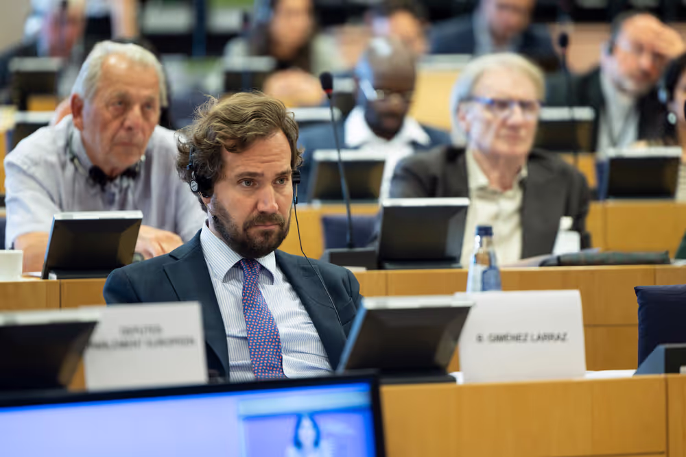 Article 17 dialogue on Housing in the EU: Strategies for a Europe that Supports People, Families and Younger GenerationsArticle