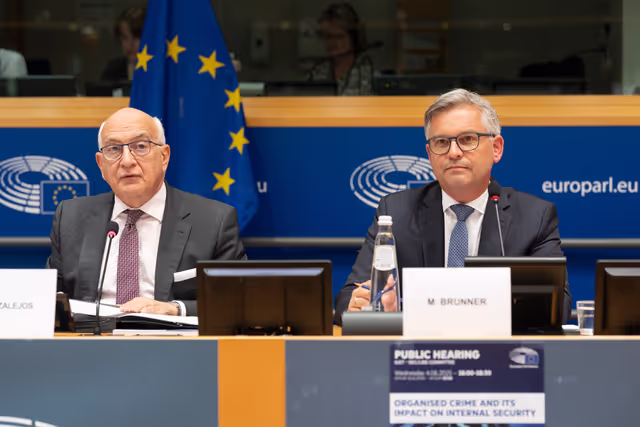 Foto 25: LIBE - Organised crime and its impact on internal security