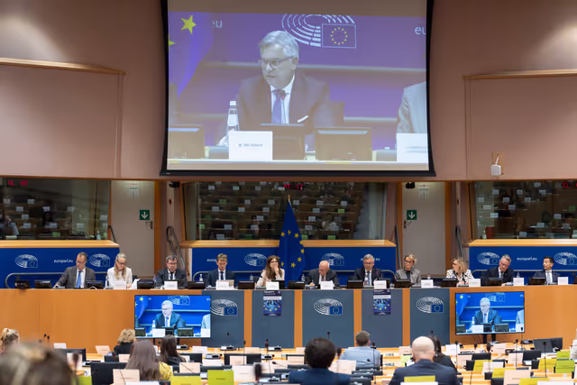 Foto 13: LIBE - Organised crime and its impact on internal security