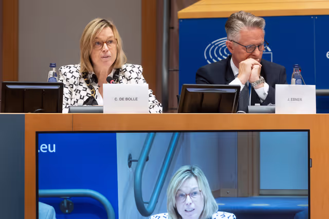 Foto 11: LIBE - Organised crime and its impact on internal security