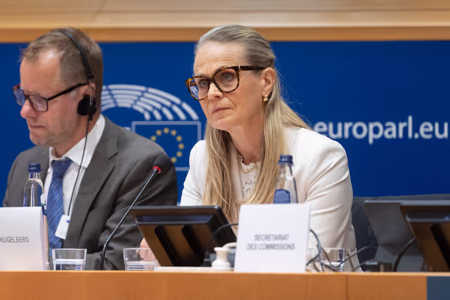 Foto 9: LIBE - Organised crime and its impact on internal security