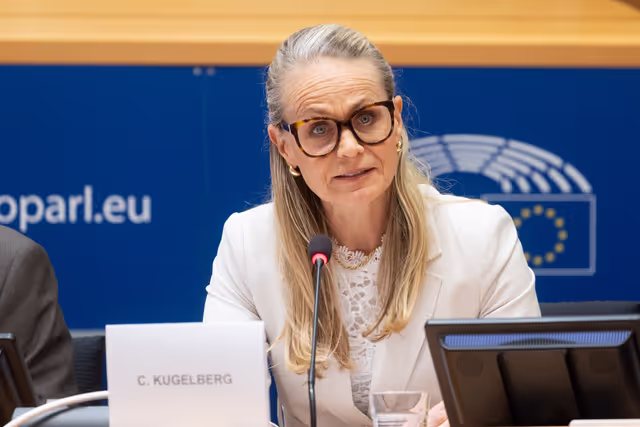 Foto 7: LIBE - Organised crime and its impact on internal security