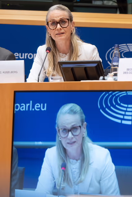 Foto 6: LIBE - Organised crime and its impact on internal security