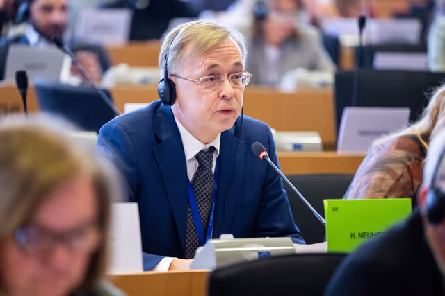 AFET Committee - Votes