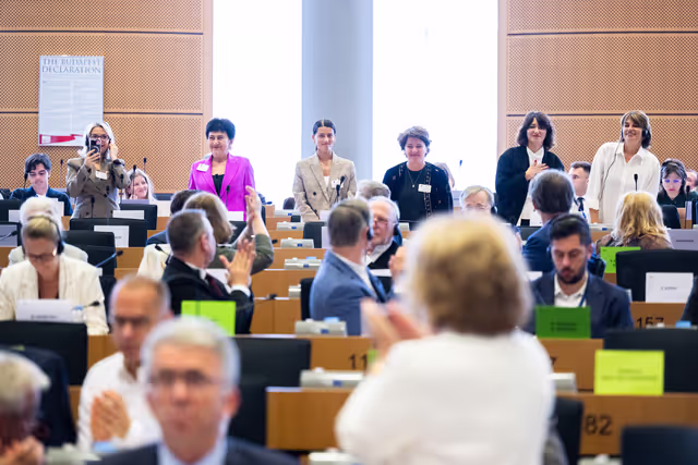 AFET Committee - Votes