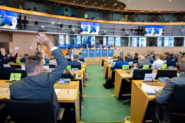 AFET Committee - Votes