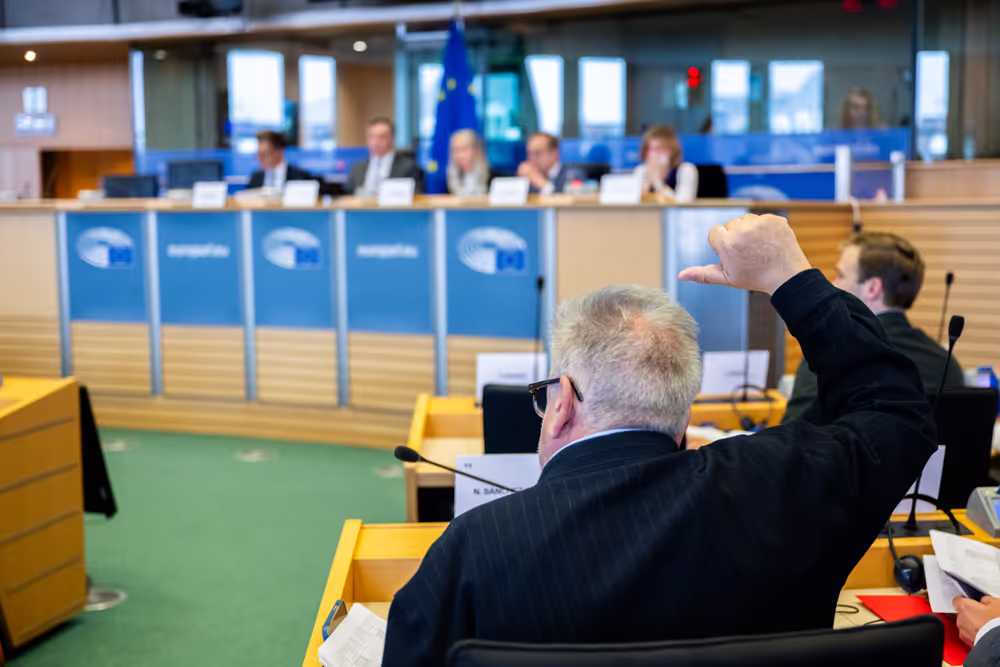 AFET Committee - Votes