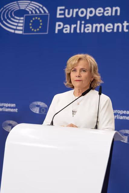 Fotografija 19: AFET press conference with Georgia's civil society activists leading mass pro-democracy protests across the country, on the occasion of AFET adoption of its annual Georgia report