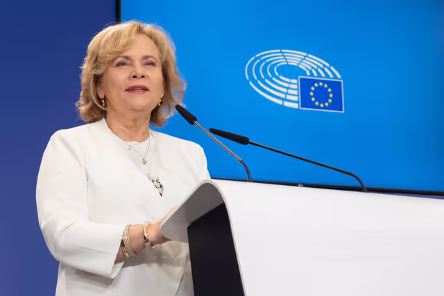 Fotografija 18: AFET press conference with Georgia's civil society activists leading mass pro-democracy protests across the country, on the occasion of AFET adoption of its annual Georgia report