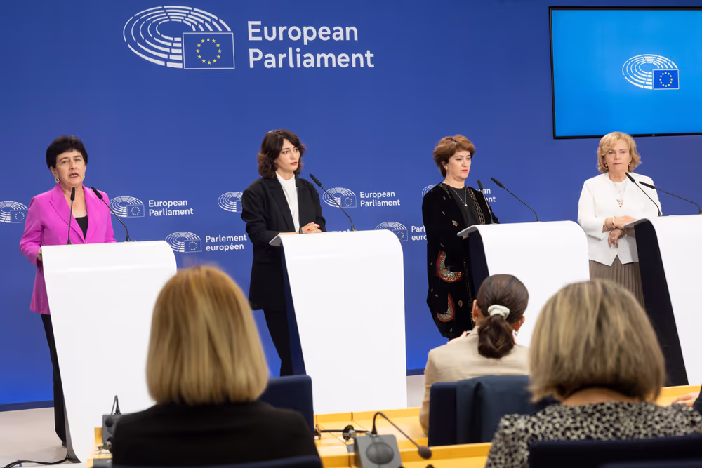 AFET press conference with Georgia's civil society activists leading mass pro-democracy protests across the country, on the occasion of AFET adoption of its annual Georgia report